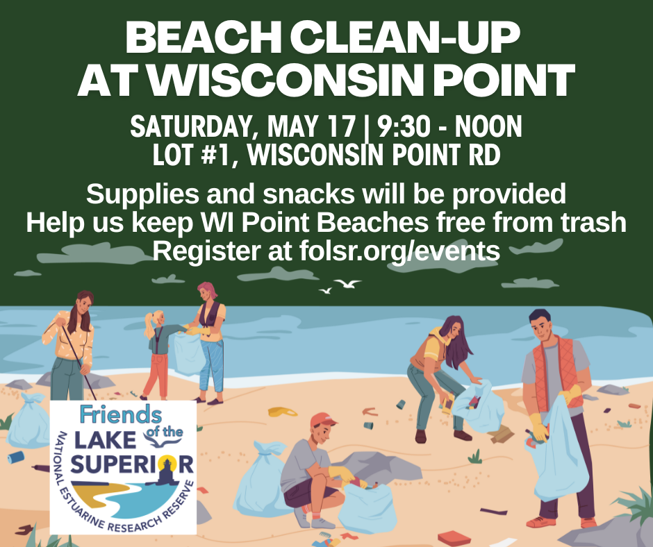 beach clean-up at Wisconsin Point beach clean-up at Wisconsin Point